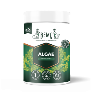 Bemo Algae - alga brunatna dla psa i kota